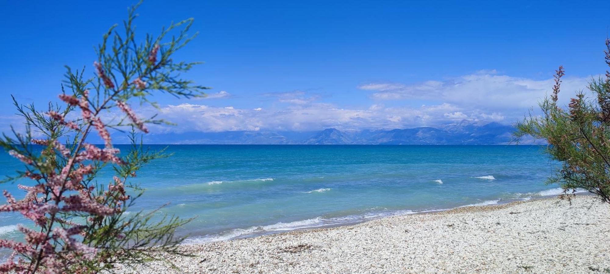 Agapi Studio Acharavi A 50M De La Mer, 400M Du Centre Ville Экстерьер фото